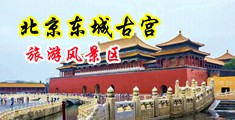 嫩模美女36p中国北京-东城古宫旅游风景区